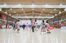 翔子大叔史前推理师论人类文明母雅贡嘎昆仑＂