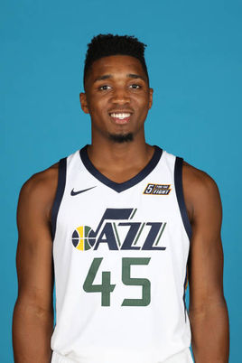 可动设计的 可动设计的