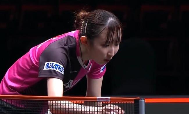 第十三届鸟 第十三届鸟